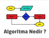 Algoritma ve Akış Diyagramları Hakkında Bilgi